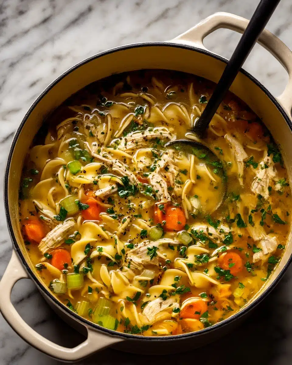 Chicken Noodle Soup Recipe