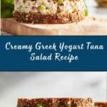 Greek Yogurt Tuna Salad Recipe
