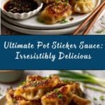 Pot Sticker Sauce Recipe