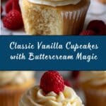 Vanilla Cupcakes Recipe