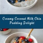 Creamy Coconut Milk Chia Pudding Recipe