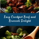 Crockpot Beef and Broccoli Recipe