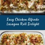 Chicken Alfredo Lasagna Roll Recipe