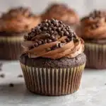Ultimate Double Chocolate Cupcakes Recipe
