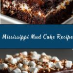 Mississippi Mud Cake Recipe