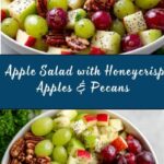 Apple Salad with Honeycrisp Apples, Celery, Grapes, Pecans, and Dried Cranberries Recipe