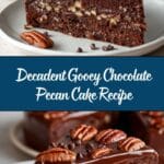 Gooey Chocolate Pecan Cake Recipe
