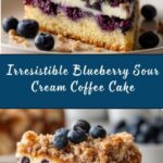 Blueberry Sour Cream Coffee Cake Recipe