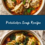 Potsticker Soup Recipe