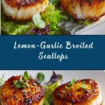 Broiled Scallops Recipe