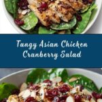 Asian Chicken Cranberry Salad Recipe