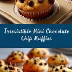 Mini Chocolate Chip Muffins Recipe