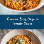 Ground Beef Orzo with Tomato Cream Sauce Recipe