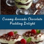Avocado Chocolate Pudding Recipe