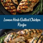 Lemon Herb Grilled Chicken Recipe