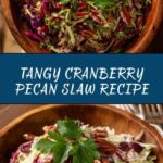 Cranberry Pecan Slaw Recipe