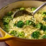One Pot Broccoli Cheese Orzo Recipe