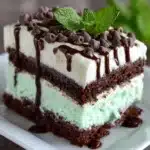 Mint Chocolate Poke Cake Recipe