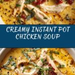 Instant Pot Creamy Chicken Soup Recipe