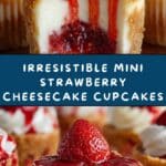 Mini Strawberry Cheesecake Cupcakes Recipe
