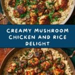 Creamy Mushroom Chicken and Rice Recipe