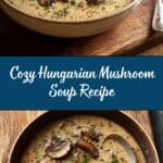 Hungarian Mushroom Soup Recipe