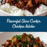 Slow Cooker Chicken Adobo Recipe