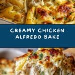 Chicken Alfredo Bake Recipe