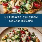 Best Chicken Salad Ever Recipe