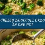 One Pot Broccoli Cheese Orzo Recipe
