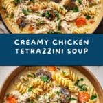 Chicken Tetrazzini Soup Recipe