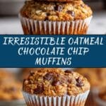 Oatmeal Chocolate Chip Muffins Recipe