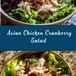 Asian Chicken Cranberry Salad Recipe