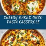 Baked Orzo Pasta Recipe