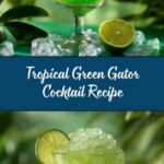 Green Gator Cocktail – A Refreshing Tropical Delight Recipe